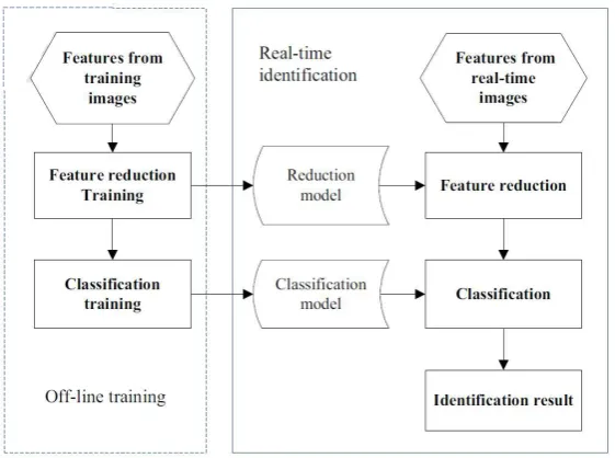 Figure 6. Flow chart of shape identification experiment 