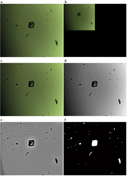 Figure 9. LGA image processing: (a) original micrograph image; (b) compressed image; (c) filtered image; (d) gray-scale image; (e) enhanced image; (f) segmented image 