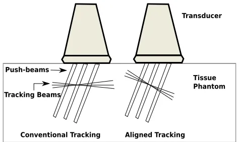 Fig. 2. The schematic diagram of the CIRS phantom and imagingregion. The imaging region consist of 40 mm in the axial and 50mm in the lateral direction.