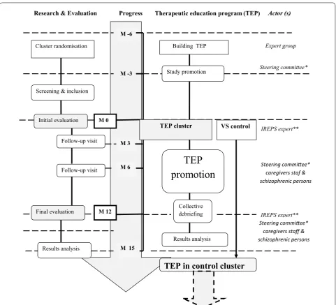 Fig. 1 Study flow diagram. Asterisk 12 co‑investigators, members of the expert group, a methodologist and statistician