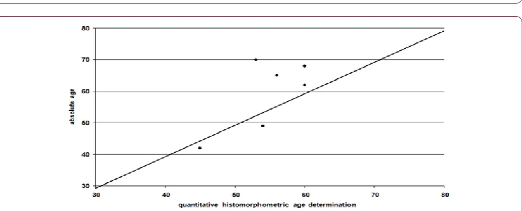 Figure 6 : Correlation between the quantitative histomorphometric age and the chronological age