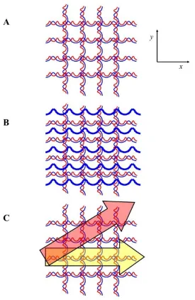 Figure 2.  4D physical activities on a 2D superlattice, according to Lohse et al. (2018)