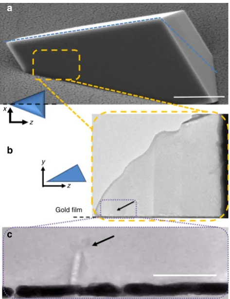 Figure 4 | Iso-surface rendering of the defects present within theoriented calcite crystals.1.8 The defects shown have a low electron densitycore that is surrounded by a spiral deformation ﬁeld/phase, and correspondto dislocation loops