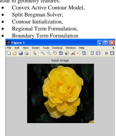 Figure 3.1 Input Image 