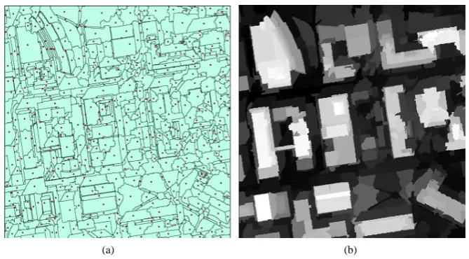 Figure 6. Generalization of elevations: (a) RPs and polygons of image segments; (b) Gene-ralized DSM elevation