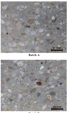 Figure 4 . Macroscopic morphology of the tested concrete. 