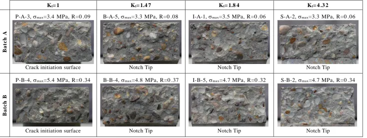 Figure 5 . Macroscopic cracking behaviour under fatigue loading displayed by the tested concrete