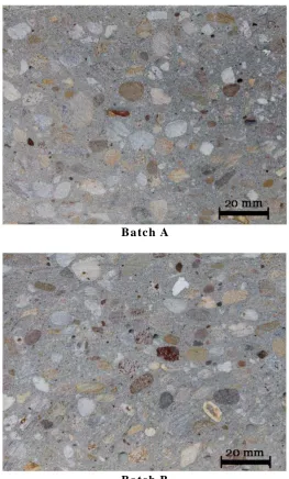 Figure 4. Macroscopic morphology of the tested concrete.  