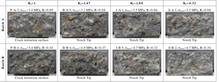 Figure 5. Macroscopic cracking behaviour under fatigue loading displayed by the tested concrete