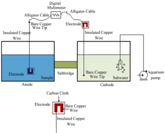 Figure 1. Diagram of MFC system setup. 