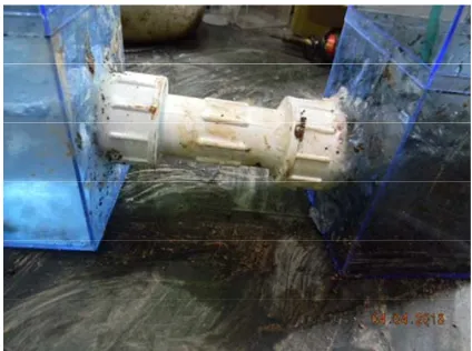 Figure 5. Picture of anode, cathode chambers and salt bridge.   