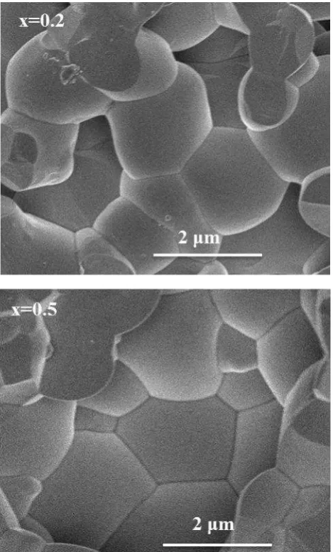 Figure 6. SEM micrographs of (1-x)Ba0.6Sr0.4Zr0.2Ti0.8O3 – xBi(Mg0.5Ti0.5)O3, x = 0.2 and x = 0.5