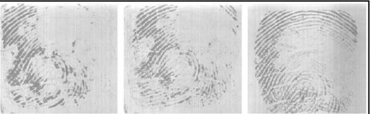 Figure 1.4: Three different examples of the non-universality of a fingerprint trait  due to finger dryness [18]
