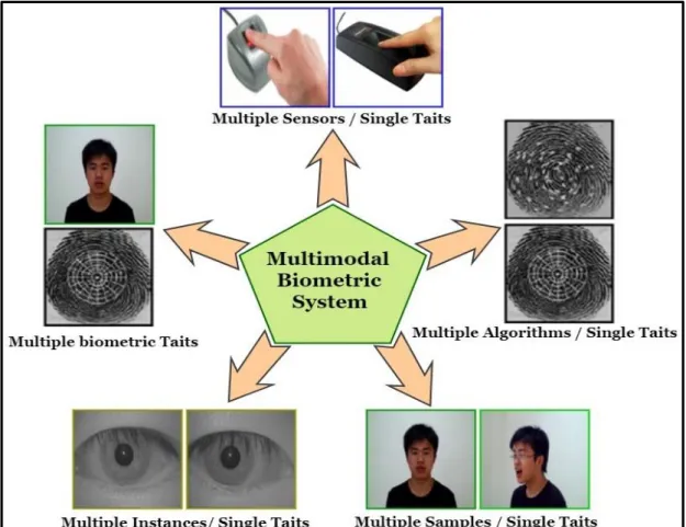 Figure 1.7: The five evidences sources of a multimodal biometric system,  adapted from Ross and Jain [22]