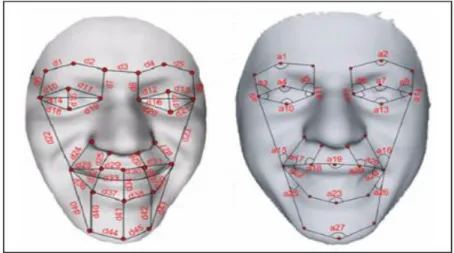 Figure 2.1: Some examples of geometrical features of the face image. 