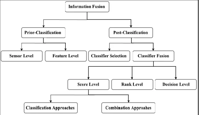 Figure 2.3: The taxonomy of information fusion approaches in multi-biometric  systems, adapted from Jain et al.[13]