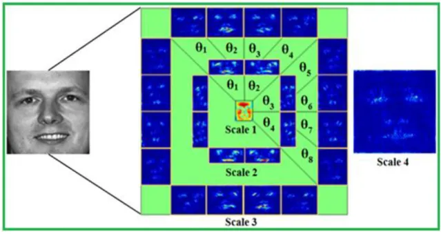 Figure 3.7: Illustration of the Curvelet decomposition coefficients obtained from  a face image decomposed at scale 4 and orientations 8