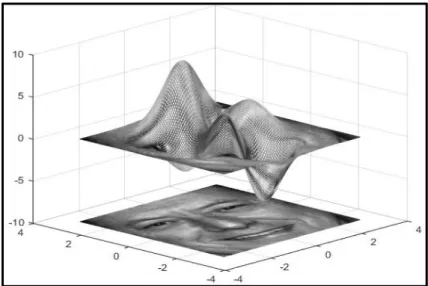 Figure 3.9: The spatial surface corresponding to a grey-scale face image. 