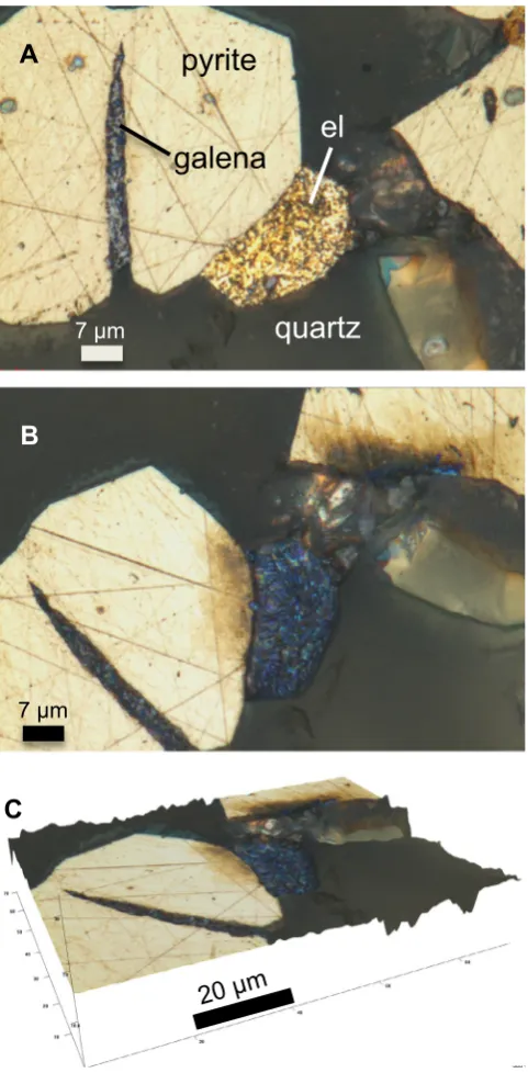 Fig. 1. Reﬂected light image of gold ore (A) before, and (B, C) after reaction with acompletely removed in B and C whereas pyrite remains unreacted