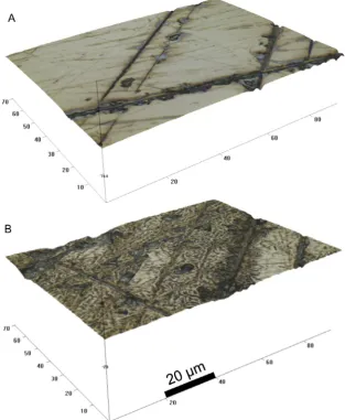 Fig. 5. (A) 3D image of the polished surface of a calaverite (AuTe2) crystal captured with a Zeta 2000 optical proﬁler