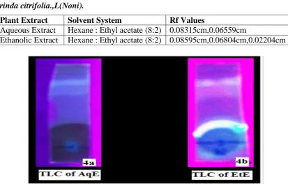 Table 2: Results of Retardation factor (Rf) for both aqueous and ethanolic extracts of 