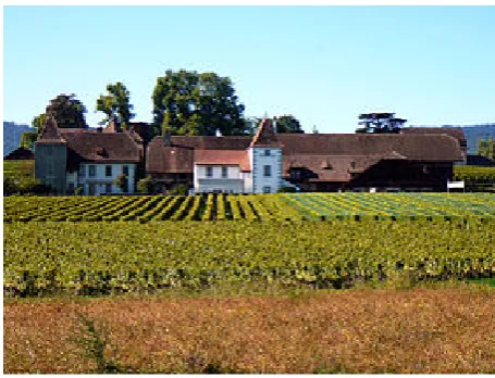 Figure 1. Le château de Duillier.  