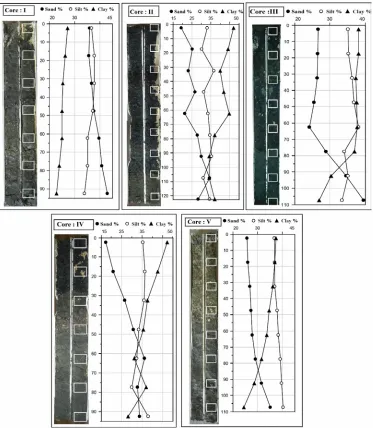 Fig. 2: The vertical distribution of sand-silt-clay fractions in downcore sediment samples