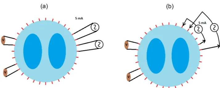 Figure 1. Different current patterns. (a) Demonstrates the adjacent current injection pattern