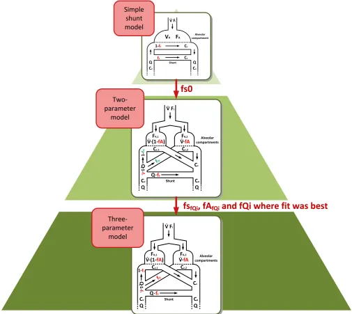 Figure 1. Hierarchical order of the gas exchange models. The simple shunt model is used to calculate an initial shunt estimate, the two-parameter model is used to calculate appropriate initial guesses for the identification of the three-parameter model by 