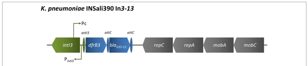 FIGURE 4 | Schematic representation of region enclosing In3–13the present survey ( detected in a K