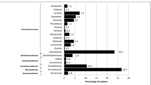 FIGURE 1 | Percentage of bacterial genera recovered from fruits and vegetables.