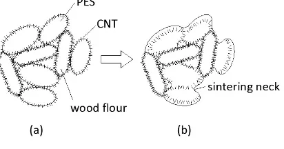 Figure 8. The agglomeration of CNTs in the 0.15% CNT/WPC LS part 