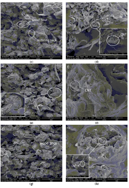 Figure 7. Higher magnification SEM images of fracture surfaces of specimens by SLS with the CNT of (a)(b) 0%, (c)(d) 0.05%, (e)(f) 0.1%, (g)(h) 0.15%