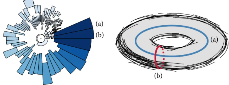 Figure 5.1: Persistence ring visualization of the 1-dimensional persistent homology of a synthetic torus.