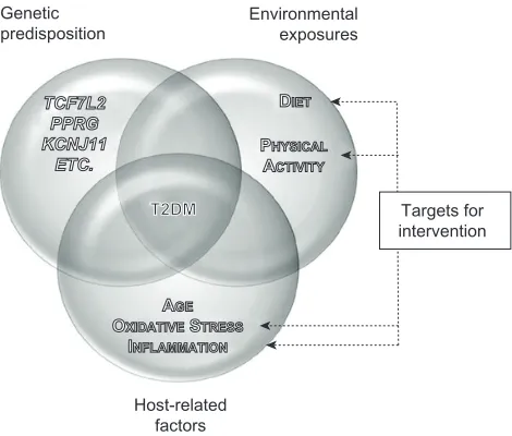 Figure 1 interaction between genetic predisposition, environment, and host-related factors affecting T2DM and potential areas of focus for intervention