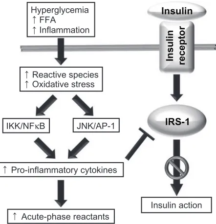 Figure 3 The interaction between oxidative stress, chronic inflammation, and the progression toward T2DM