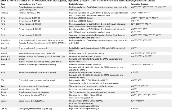 Table 1. Non-exhaustive list of studied human clock genes, expressed proteins, their main function and associated psychiatric disorders 