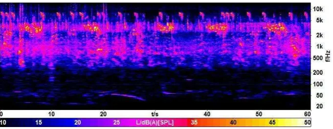 Figure 5 - A spectrogram from where 'birdsong' is clearly noticeable as a sound source standing out from the background noise 