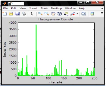 Fig. 4  cumulative histogram LBP 