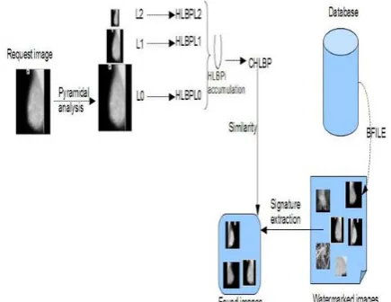 Fig. 5  LBP watermarking system image insertion Images database watermarking algorithm: 