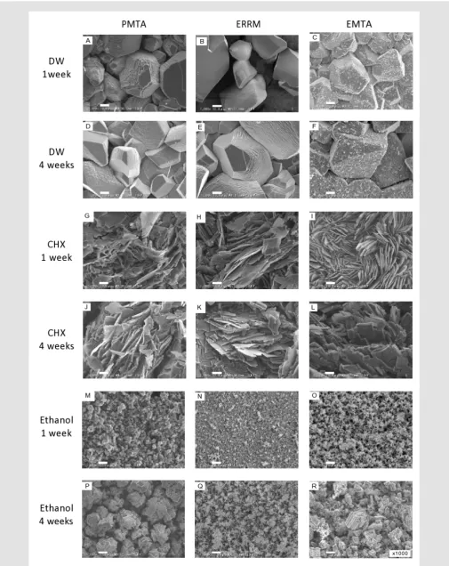 Figure 2: Scanning electron microscope images of CSM surfaces. ProRoot MTA (PMTA: A, D, G, J, M and P), Endo Sequence BC RRM (ERRM: B, E, H, K, N and Q) and Endoseal MTA (EMTA: C, F, I, L, O and R) were immersed in either distilled water (A-F), 2% chlorhex