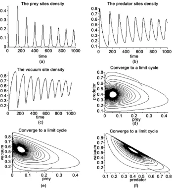 Figure 3. The densities of the prey, predator and vacuum sites and their limit cycle, respectively for p1=0.49,p2=0.49 and p3 =0.02, at the initial densities  x| 0=0.25,y| 0=0.5, | 0u=0.305, | 0v=0.29 and w| 0=0.2