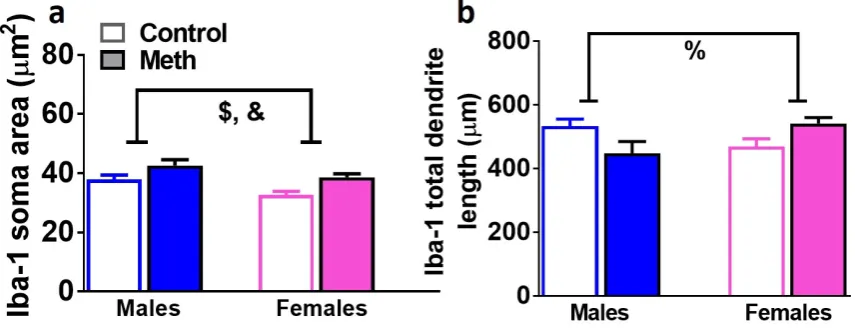 Figure 6 51 
