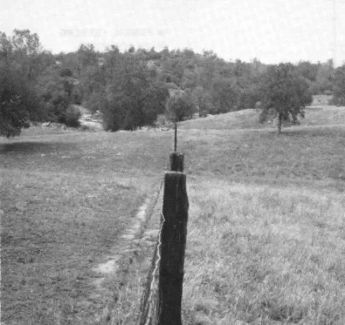 Table 2. Herbage yield, composition, litter, and monthly precipitation at five sampling dates in a grazed end ungrazed grassland at the San Joquin Exprimental Range, 1976
