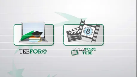 Figure 1. General appearance of the online learning plat- form used in the bank. 