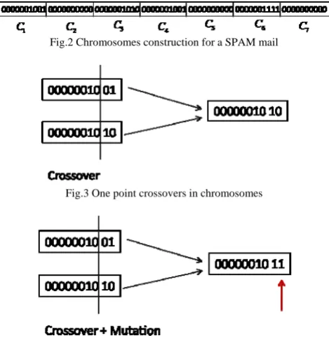 Fig.2 Chromosomes construction for a SPAM mail 