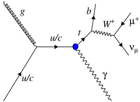 Figure 1. Lowest-order Feynman diagram for single top quark production in association with aphoton via a FCNC, including the muonic decay of the W boson from the top quark decay