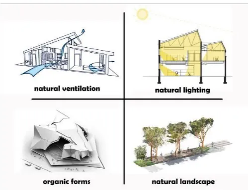 Fig. 3. Basic Elements of Biophilic Design adapted from Duzenli et al., 2015. 