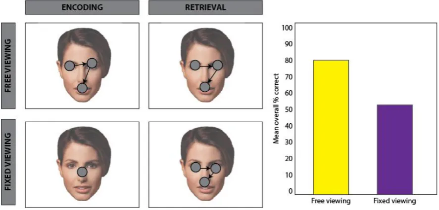 Figure 1. Schematic of encoding-related eye movement effects (adapted from Henderson, William, and Falk, 2005 [12])