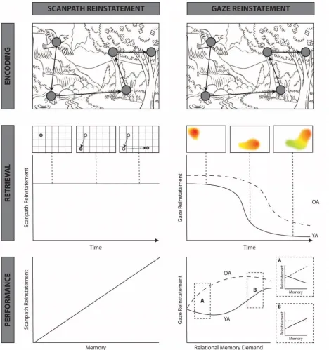 Figure 2. Schematic comparing the predictions of the standard scanpath model (left) and the proposed gaze reinstatement model (right)
